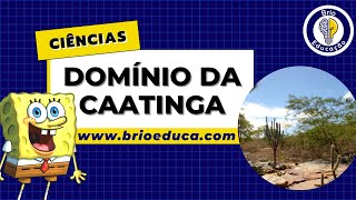 Ciências Domínio morfoclimático da caatinga  Brio Educação [upl. by Gaut246]