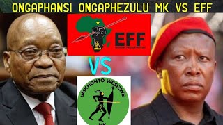 Yenzeka inkiya nkiya obungeke uyilindele Umkhonto Wesizwe vs EFF MK ibamisekami ibaxina eduze [upl. by Cherin]