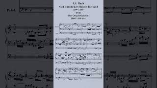 JS Bach Nun kommder Heiden HeilandBWV 599 2 pianosshorts [upl. by Fidelas560]