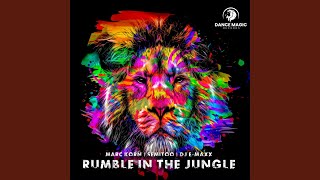 Rumble in the Jungle Extended Mix [upl. by Torbart2]