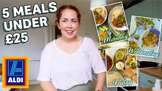 5 Meals For UNDER £25 From Aldi  Easy Budget Weekday Family Meals  5 For £25 Meals Part 1 [upl. by Savannah]