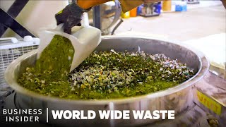 Meet 8 Young Founders Turning Trash Into Cash  World Wide Waste  Insider Business [upl. by Xena]