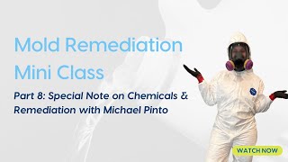 Mold Remediation Part 8 Special Note On Chemicals and Remediation with Michael Pinto [upl. by Annoerb]