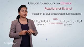 Carbon and its Compounds 14  Important Carbon Compound  Ethanol  CBSE Class 10 [upl. by Ax]