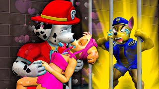 PAW Patrol The Movie 30 ► Marshall amp Skyes Secret Kiss Love Story  Chase Lost His Love [upl. by Melvena968]