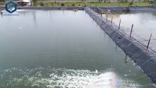 HDPE Fish Farm Pond Liner Geomembrane for Aquaculture [upl. by Olimpia]