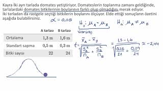 Ortalamalar Farkı İçin İki Örneklemli ttesti İstatistik [upl. by Raseac92]