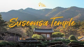 Playlist Enjoy the Lotus Field of Suseonsa with OST  Haegeum 4K ASMR  Heritage Window Ep4 [upl. by Airad405]