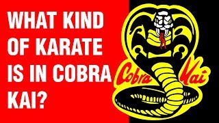 What Kind of Karate is in Cobra Kai  ART OF ONE DOJO [upl. by Everick]