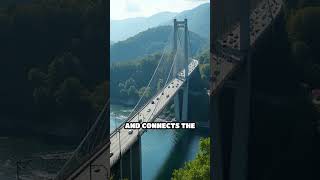 Millau Viaduct The Worlds Tallest Bridge and Engineering Marvel facts comparison mystery shorts [upl. by Lidstone]