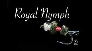 Royal Nymph  easy nymph pattern  Mountainfly Fly Tying  Fly Fishing [upl. by Aneeb]