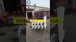 Chinese Mini Crawler Tractor with Cutter windrower and Cultivator [upl. by Anitsirk]