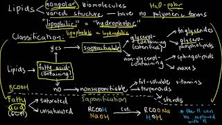 BIOCHEM 8  Lipids Introduction [upl. by Ahsilahs985]