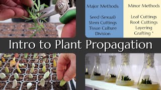 Intro to Plant Propagation [upl. by Imot817]