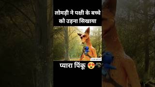 Cartoon movie in Hindi dubbed Southmovie Hollywoodmovie ytshort  shorts viralnow trending [upl. by Desiri]