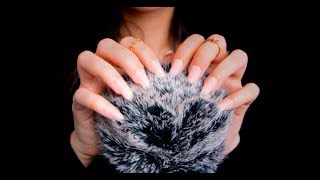 ASMR Fluffy Mic Scratching With Long Nails ❤️ Simulated Scalp Massage [upl. by Radman]