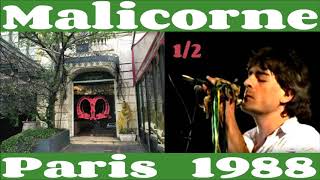 Malicorne live Paris 1988 part1 [upl. by Aicsile]