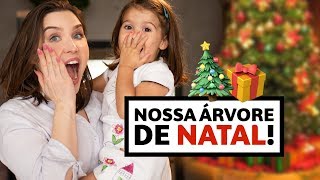 Montando a nossa ÁRVORE DE NATAL Ficou linda  Lu Ferreira [upl. by Eerol615]