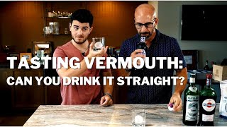 Trying Vermouth Can you drink it straight amp what is it really for [upl. by Mcdermott]