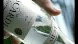 Bacardi Rum commercial from the 90s [upl. by Tapes]