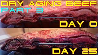 Part 3  Beef Into the Dry Ager and Back Again 25 Days [upl. by Duthie94]