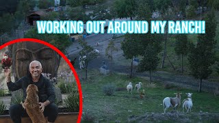 How Cesar Millan exercises at his ranch [upl. by Chaffin525]