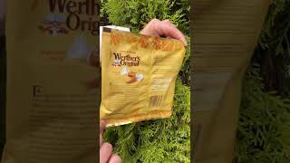 Цукерки PUMPKIN Werther’s 🇩🇪werthers candy леденцы lollipop lollipops конфеты цукерки [upl. by Parcel760]