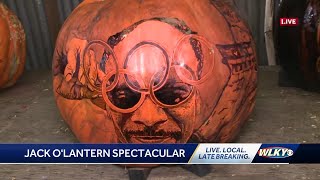 Taking a look at some incredible pumpkins at the Jack OLantern Spectacular [upl. by Lorrac]