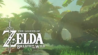 Bronas Forest｜BOTW｜ZELDA Ambience [upl. by Haleelahk]