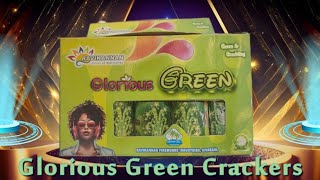 Glorious Green Crackling Fountains Crackers 💥 Ravikannan Fireworks 🔥 [upl. by Abihsot177]