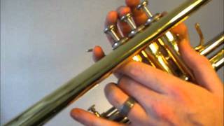 Learn to play C major scale on trumpet [upl. by Yssej861]