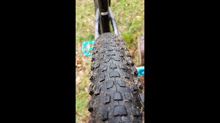 MTB Reifen Review  Maxxis vs Wolfpack [upl. by Drannek]