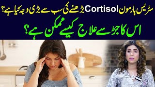 What is the main cause of increased stress hormone cortisol  Dr Sahar Chawla [upl. by Fields]