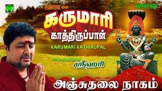 Anju Thalai Nagam  Karumari Kathirupal  Srihari [upl. by Nyltiac]