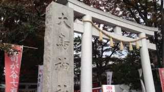 2013 雑司が谷大鳥神社 酉の市 [upl. by Aileen]