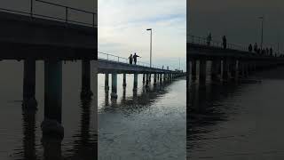 Rosebud Pier Mornington Peninsula Victoria visittheseplaces thingstodo thingstodomelbourne [upl. by Saire]