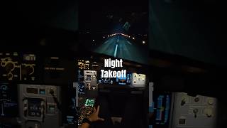 Night flight aviation pilot airbus [upl. by Hertz]