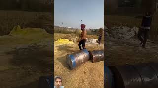 punjabi farmer farming desi punjabisong [upl. by Connel]