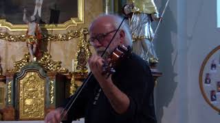 Carlos Zingaro Solo  Live at Kaleidophon Ulrichsberg Austria 20180429 [upl. by Yhtrod]