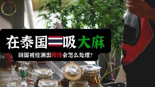 泰国吸完大麻回国被检测出阳性会怎么处理？ [upl. by Eelirak]