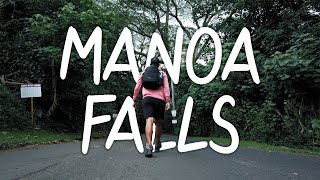 A Review of the Manoa Falls Hiking Trail  O’ahu Hawaii [upl. by Otrebmal372]