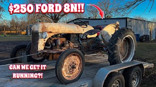 Will This ABANDONED 1949 Ford 8N Run After Sitting For YEARS [upl. by Ezra52]