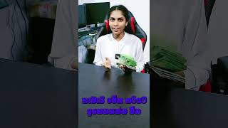 BNX Coin එකින් 120000 ක් [upl. by Mommy574]