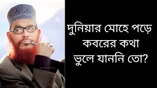 দুনিয়ার মোহে পড়ে কবরের কথা ভুলে যাননি তো Allama Delwar Hussain Saidi [upl. by Nole]