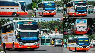 ABANG TUKANG BAKSO  Klakson Telolet Bus Harapan Jaya  Part 4 [upl. by Hess111]