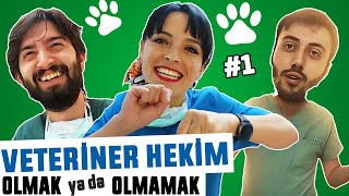 VETERİNER HEKİM OLMAK ya da olmamak 😍  Üniversite Tercihleri Tavsiyeleri YKSde BAŞARILAR [upl. by Rayham]