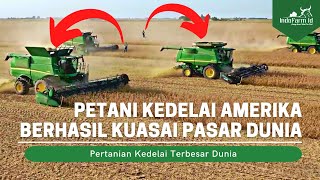 KEDELAI SUPER DARI AMERIKA Mengapa Kedelai Amerika Menguasai Pasar Dunia [upl. by Godart]