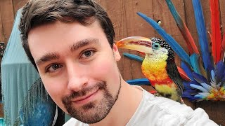 Meeting a Curl Crested Aracari for the First Time Mini Toucan with a PERM [upl. by Zilada25]