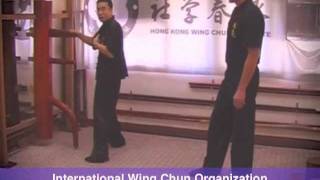 Wing Chun wooden dummy [upl. by Noiwtna]