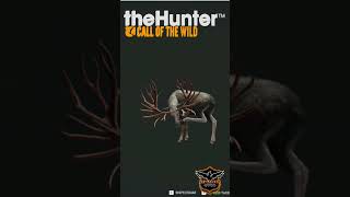 ALCE LENDÁRIO NO THE HUNTER CALL OF THE WILD [upl. by Aicatsan579]